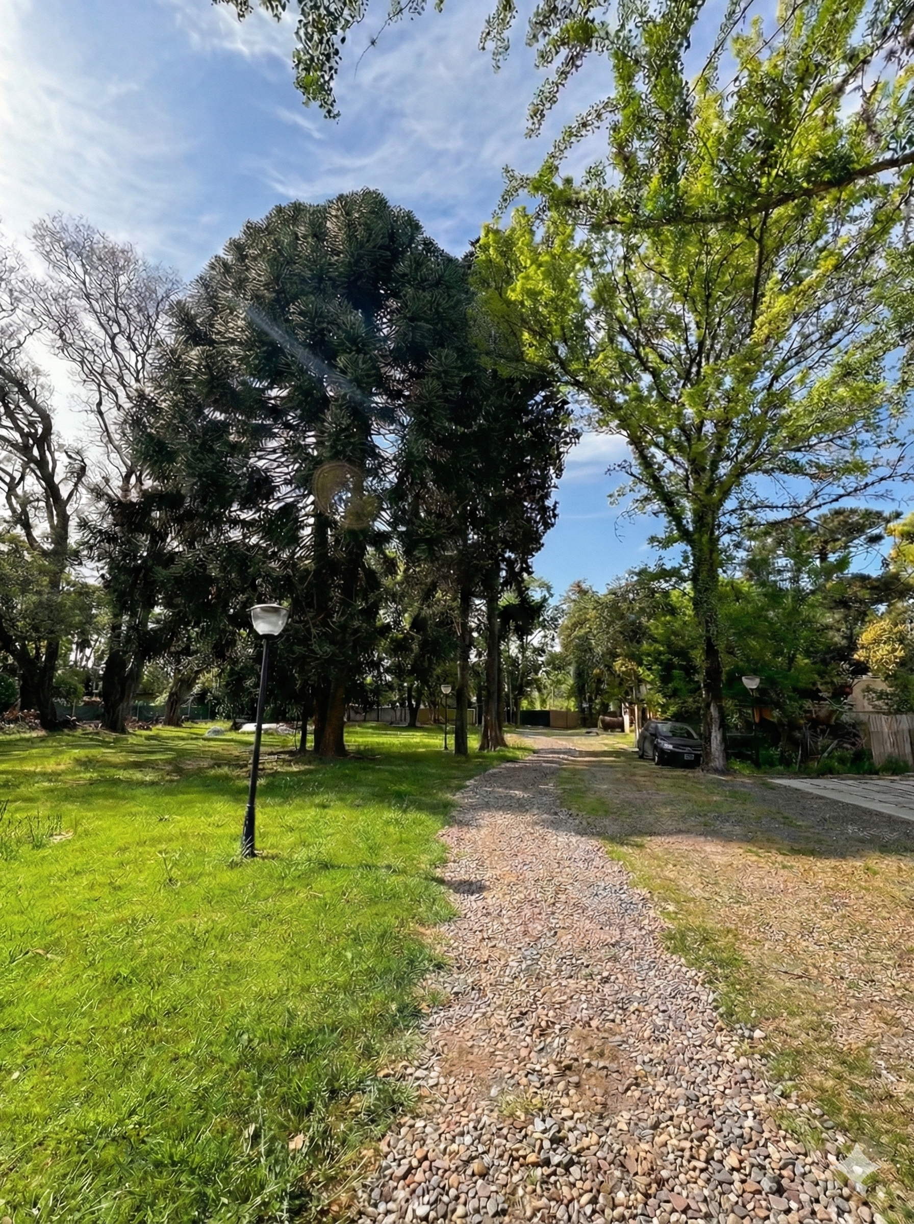Barrio Los Ginkgos