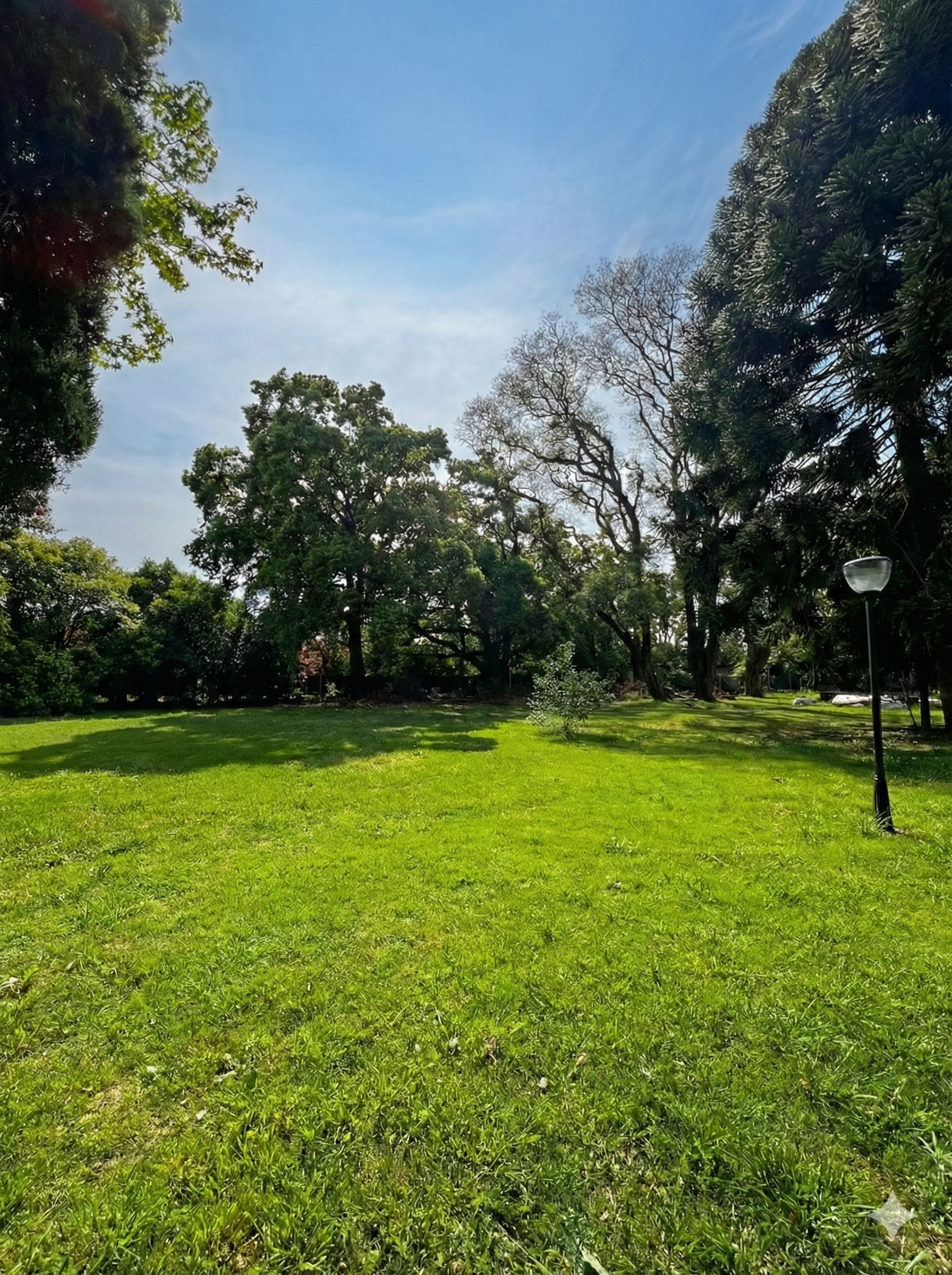 Espacios verdes del barrio